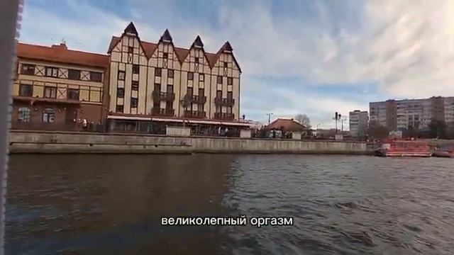 Большое обзор Калинингра. Город кошек - Зеленоградск. Музей янтаря и марципана. #питервкармане