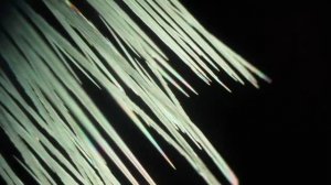 Рост кристаллов нитрата аммония под микроскопом