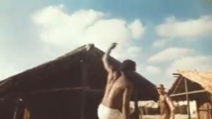 Капитан Пилигрима