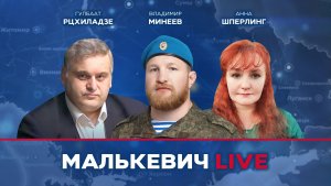 Владимир Минеев, Гулбаат Рцхиладзе, Анна Шперлинг - Малькевич LIVE