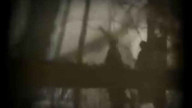Ленинградская застольная Flv