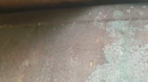 Дольмен Здоровье дорога от Геленджика!!!