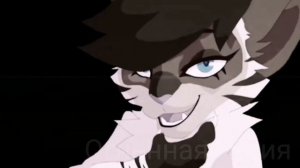 Коты воители клип ~Привет~🖤