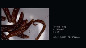 Macro Photography with MF12 and MF-R76 | Godox Macro Photography Academy EP04