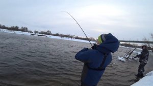 Горбачи как в СИБИРИ  ВОТ это ОБРЫБИЛ НОВЫЙ СПИННИНГ AZURA X GAME X99M