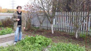 Как подготовить плодовые деревья к зиме?