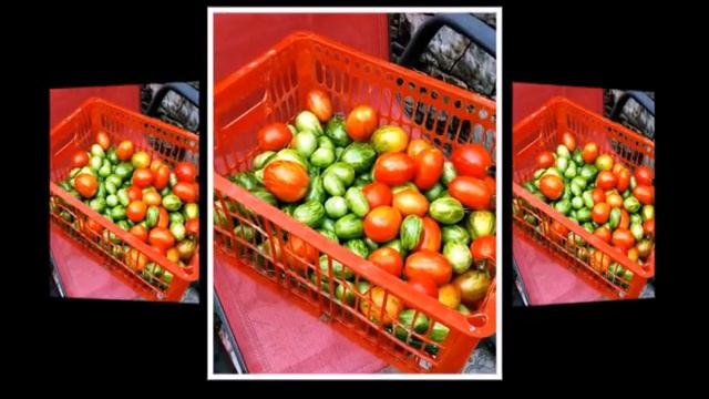 Мои новинки на 21 год и ещё один отличный сорт, который стоит выращивать смотреть онлайн