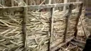 Станок для производства камышовых плит.mp4