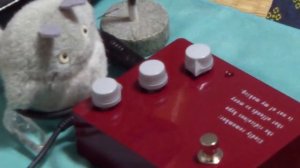True Bypass & Buffer