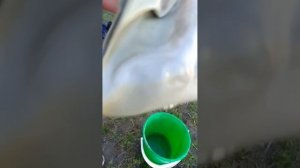 как помыть противогаз ГП 5