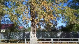 Поездка на газеле 705 маршрут Тольятти - Ульяновск, Ульяновск, Императорский мост