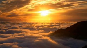 Как не привязываться