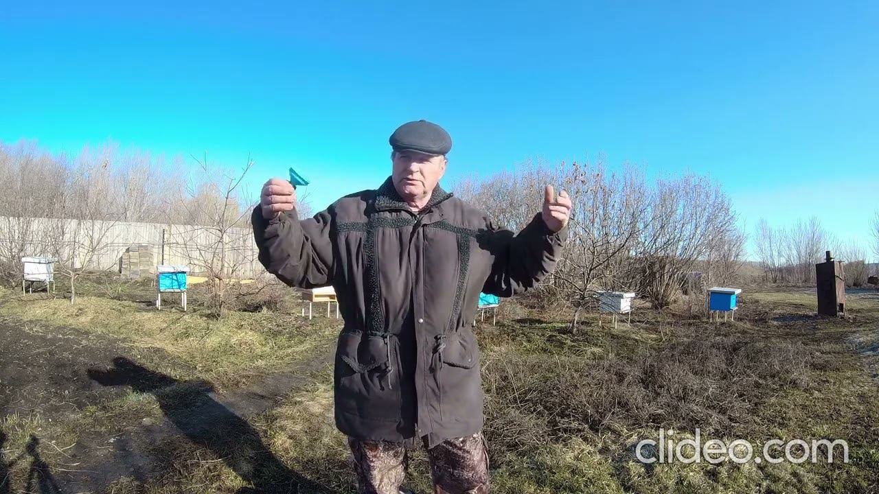 Траектория полёта пчелы. смотреть онлайн