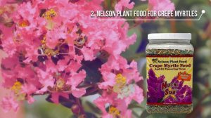 Best Fertilizer for Crepe Myrtles - Pretty Blooms