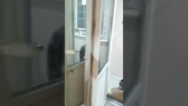 Шкафы в Детскую от www.kuhninovogireevo.ru,  ? https://t.me/mebelzov, wa +79265913182, ?kuhni_bel