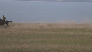 Рысь под седлом Краснотуранск 2015(Лошади-Horse–Animal-racing-конь-смотреть-онлайн-скачки)