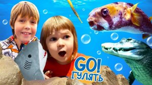 Бьянка и Адриан ищут маму Акулы! Океанариум в видео онлайн! - Москва куда сходить. Весёлые игры.