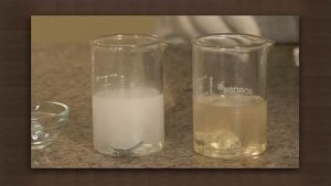 Metals react with acids to produce salt and Hydrogen | Acid & Bases | Chemistry