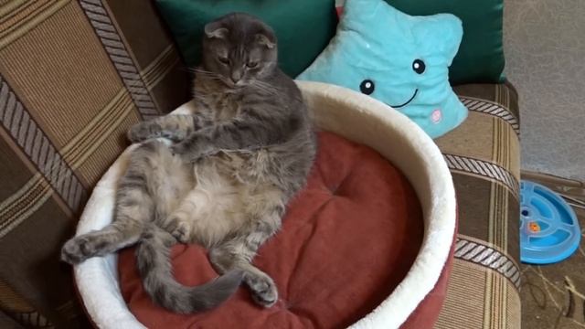 Покупки одежды в Фамилии/ Обзор подарков по акциям/ Акция в Магните смотреть онлайн