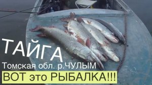 Рыбалка  на реке Чулым 2010 год