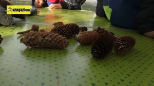 Осень уральского следопыта 2022