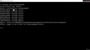 Configurando ambiente de banco de dados MongoDB com Docker