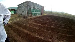 т 40 ам пахота 2022.  Фреза.