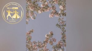 Безаман Цу Ц1аро??