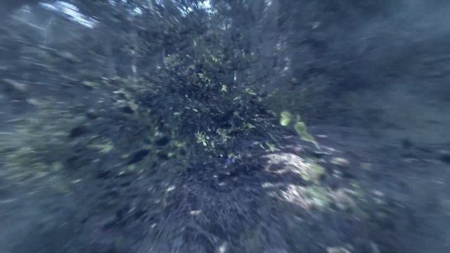 Kingdom Come Deliverance 4K HDR смотреть онлайн