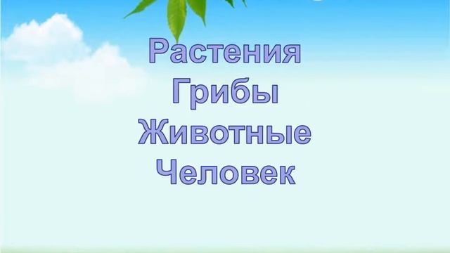 Природа вокруг нас смотреть онлайн