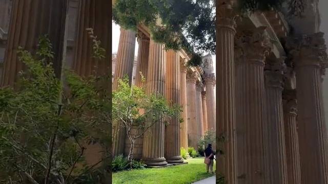 #shorts Что посмотреть в Сан-Франциско? Дворец изящных искусств. Музей изобразительных искусств.США смотреть онлайн