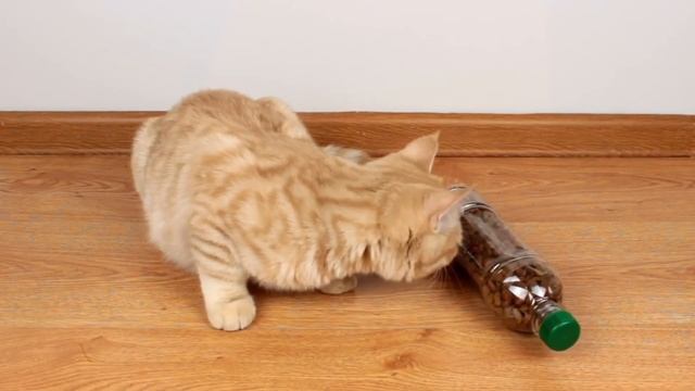 Лайфхаки ПОДЕЛОК для домашних питомцев #1 -Life hacks of DIY for pets like #1 смотреть онлайн