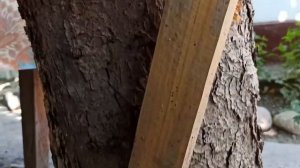 Простая скамейка для сада своими руками из дерева.