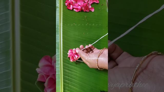 Rose petals garland making at home/how to tie rose petals veni/Gajra/roja poo malai/pellipoolajada