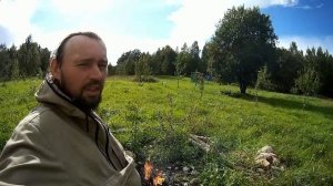 Как избавится от Шершней в Доме - Жизнь в Деревне