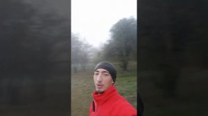 Искусство маленьких шагов