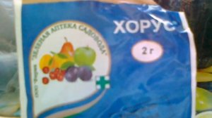 Хорус-препарат для лечения косточковых культур