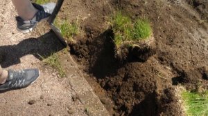 Посев газона: от личного опыта к профессионалам