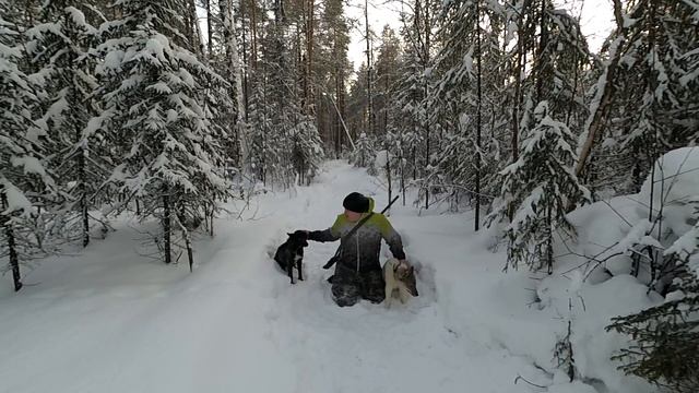 Таёжный мотив. Рад представиться. смотреть онлайн