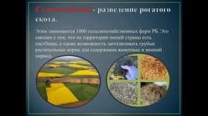 8 класс. Биология. Сельскохозяйственные животные