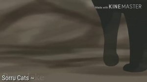 Коты-воители | щербатая | звездолом |