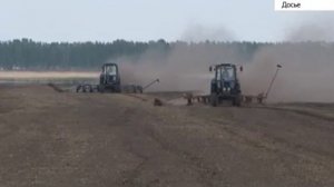 Алтайские фермеры начали выращивать высоко протеиновые сорта сои