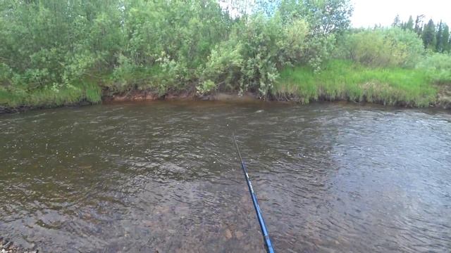 Хариус! Поклевки и вываживание! Трофейная Щука на спиннинг! Рыбалка на Хариуса! смотреть онлайн