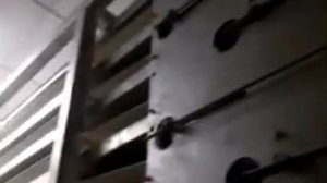 Линия производства маршмеллоу - Сытный Дом