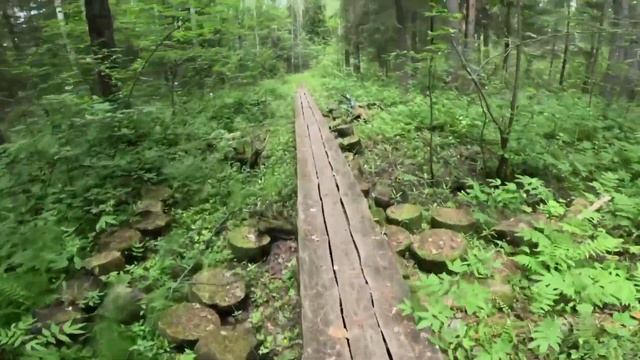 А нужен ли этот Нургуш? Саморефлексия. Знак зодиака Весы.