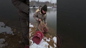 Улов на песчаном берегу. Рыбалка на огромную форель. Монстры в садке.