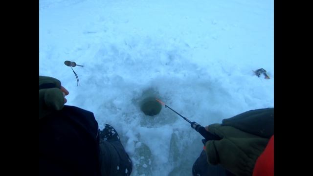 Покатушки на кsюшке! Мотособака и ловля рыбы. Рыбалка в Карелии на Онего. смотреть онлайн