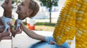 Кукуруза Приколы Очень Смешно Почему все публикуют кукурузу? не смешно вообще