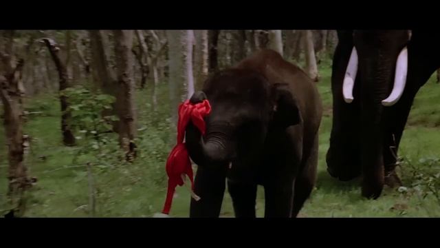 टार्जन सुपरहिट हिंदी मूवी - किमी काटकर और हेमंत बिरजे की सुपरहिट हिंदी मूवी - Adventure Of Tarzan смотреть онлайн