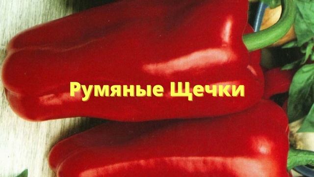 8 самых скороспелых сортов перца для получения суперраннего урожая смотреть онлайн